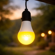 Lâmpada Led Pera Anti-Inseto 12w 3200k Amarelo E27 IP20 Branco Bivolt Avant