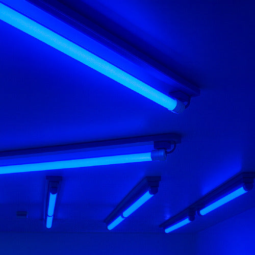 Lâmpada Led Tubular T8 18w Azul G13 Bivolt  IP20  Avant