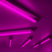 Lâmpada Led Tubular T8 18w Rosa G13 Bivolt IP20 Avant