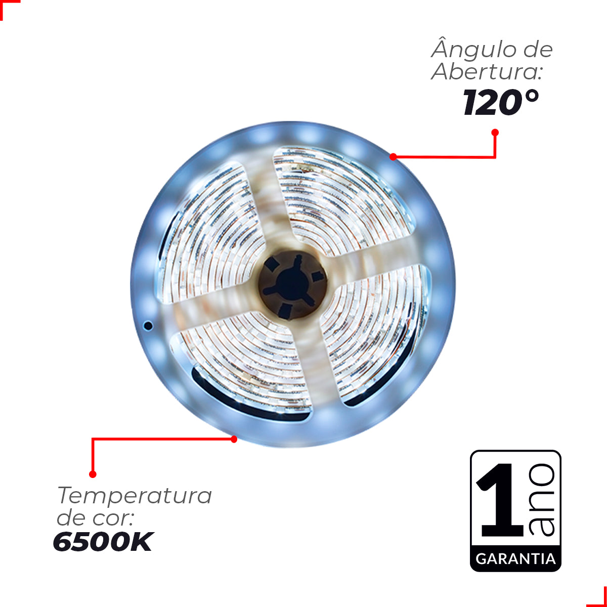 Fita Led Connect 5w 6500k Branco Frio 5 Metros 127v Tensão Direta 60 Leds/m a prova dágua Cod: 148004089 AvantA
